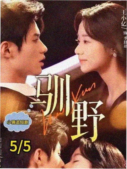 无声证词电视剧在线观看海报